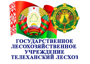 Государственное лесохозяйственное учреждение Телеханский лесхоз"